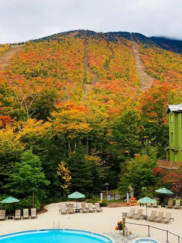 7412 Mountain Road Stowe VT 05672