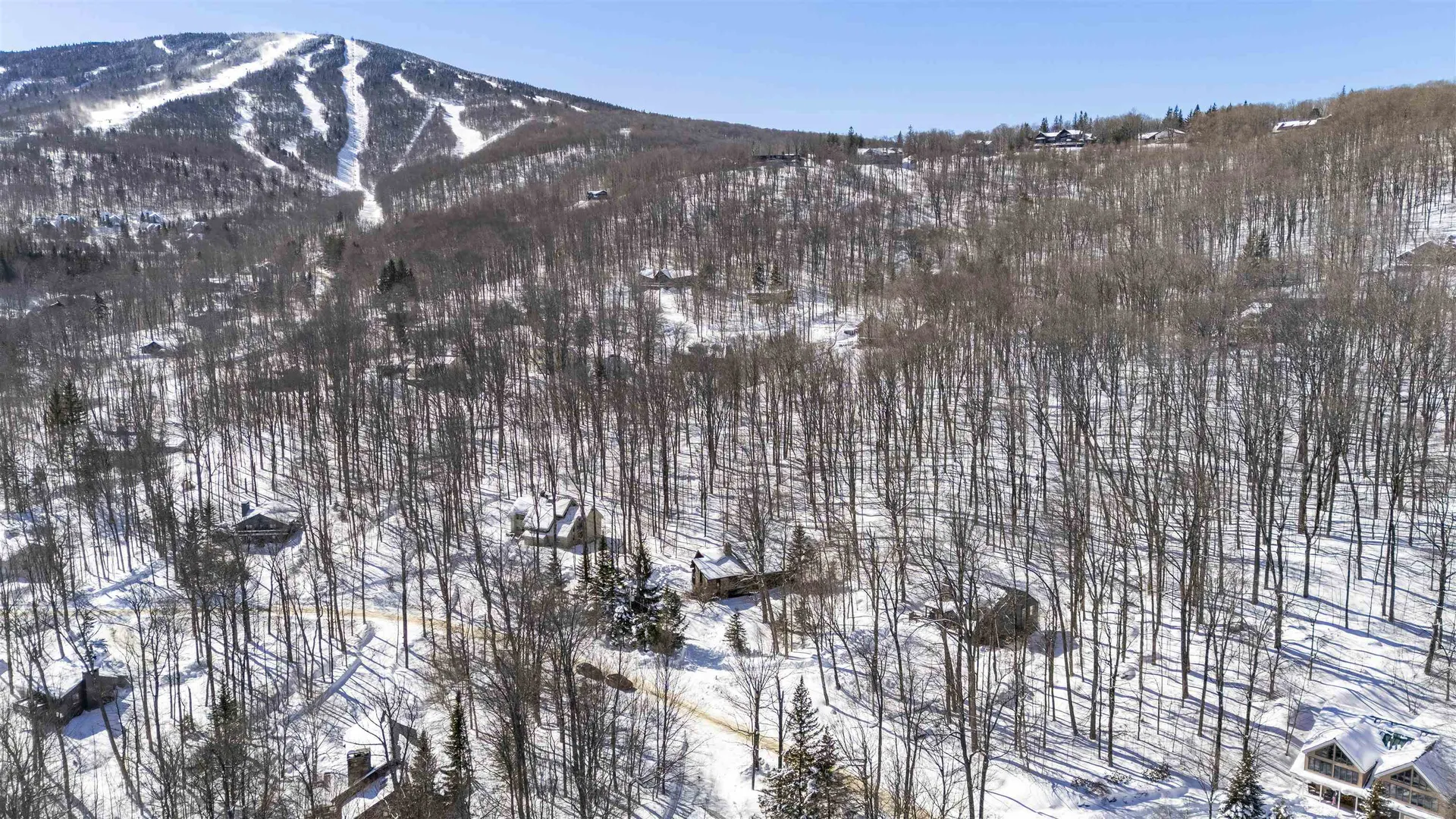 11 Round Tree Road Winhall VT 05340