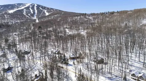 11 Roundtree Road Winhall VT 05340