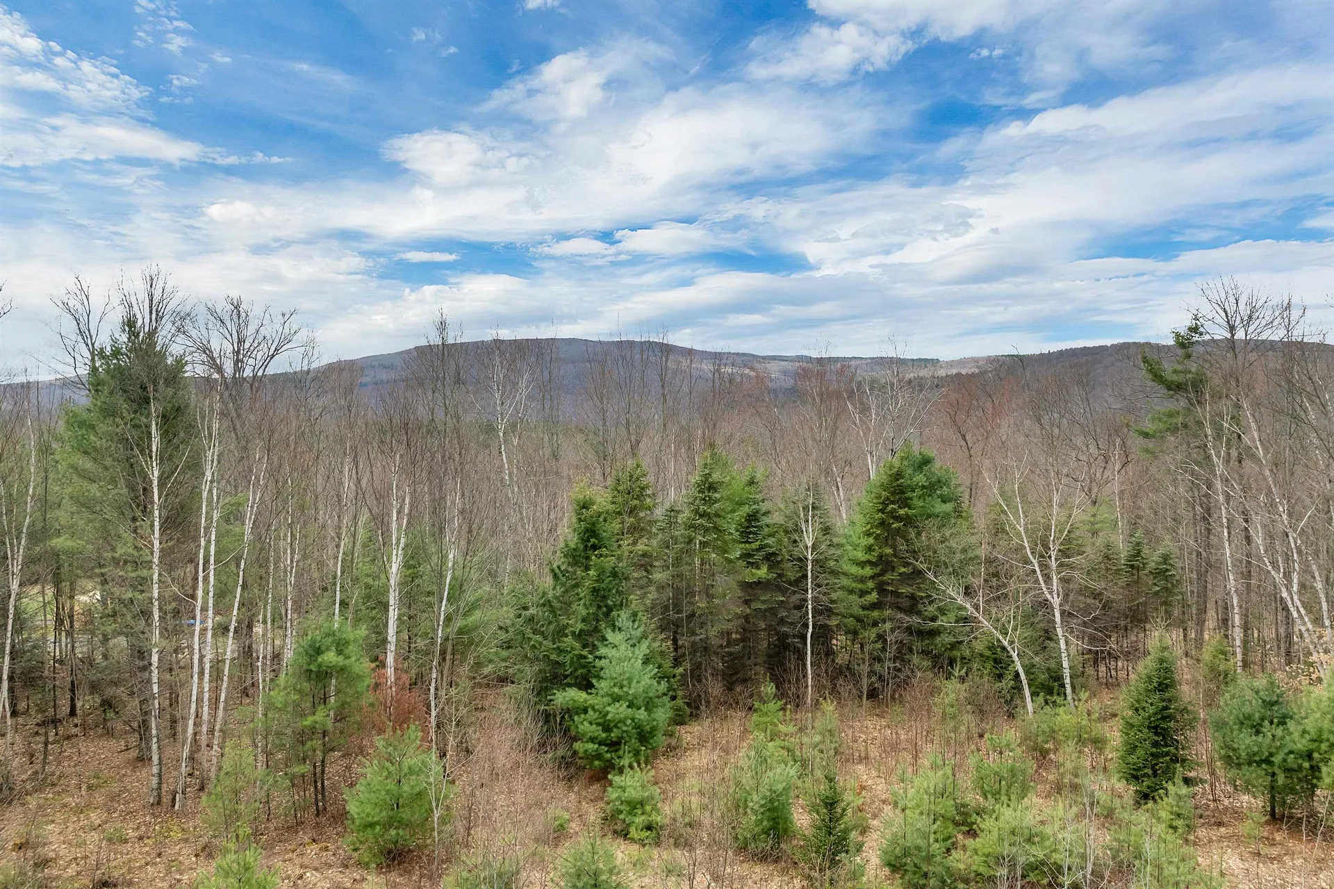 121 Swain Hill Road Warren NH 03279