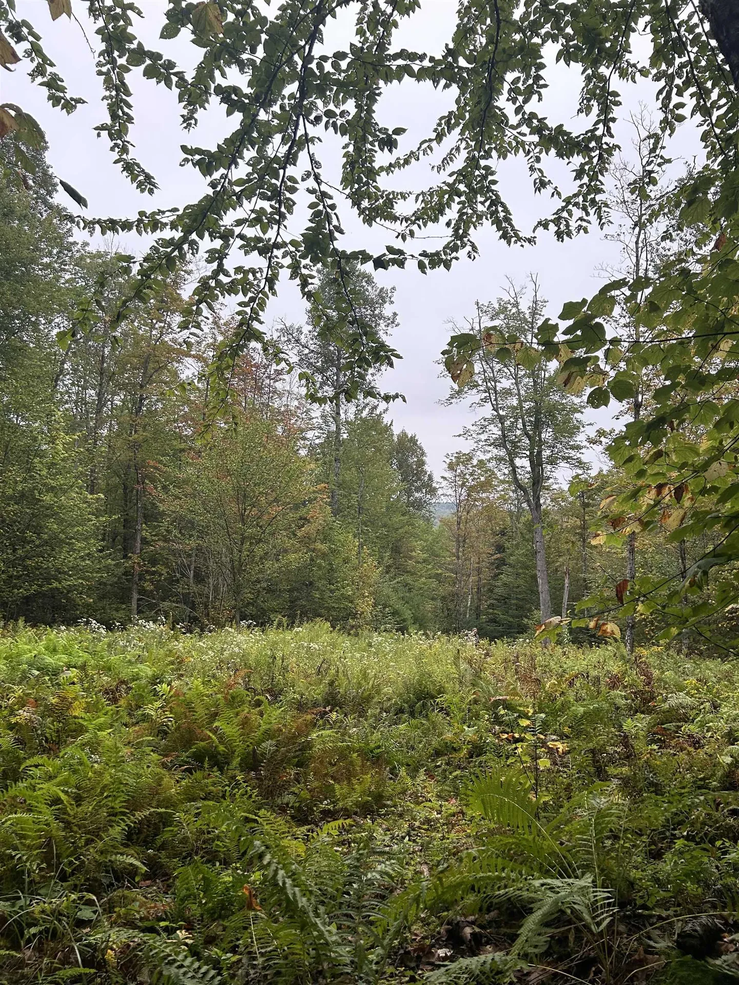 00 Miller Pond Road Grantham NH 03753