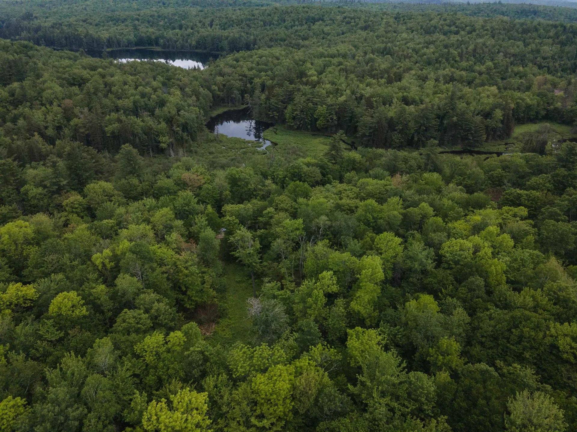 00 Miller Pond Road Grantham NH 03753