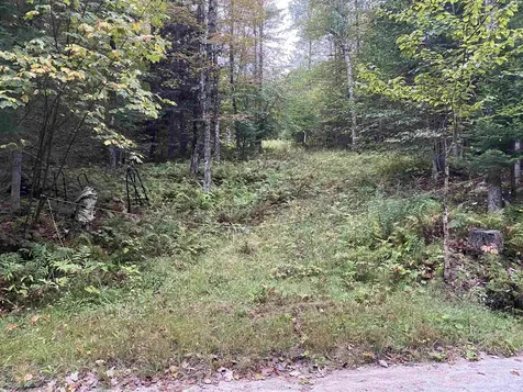 00 Miller Pond Road Grantham NH 03753