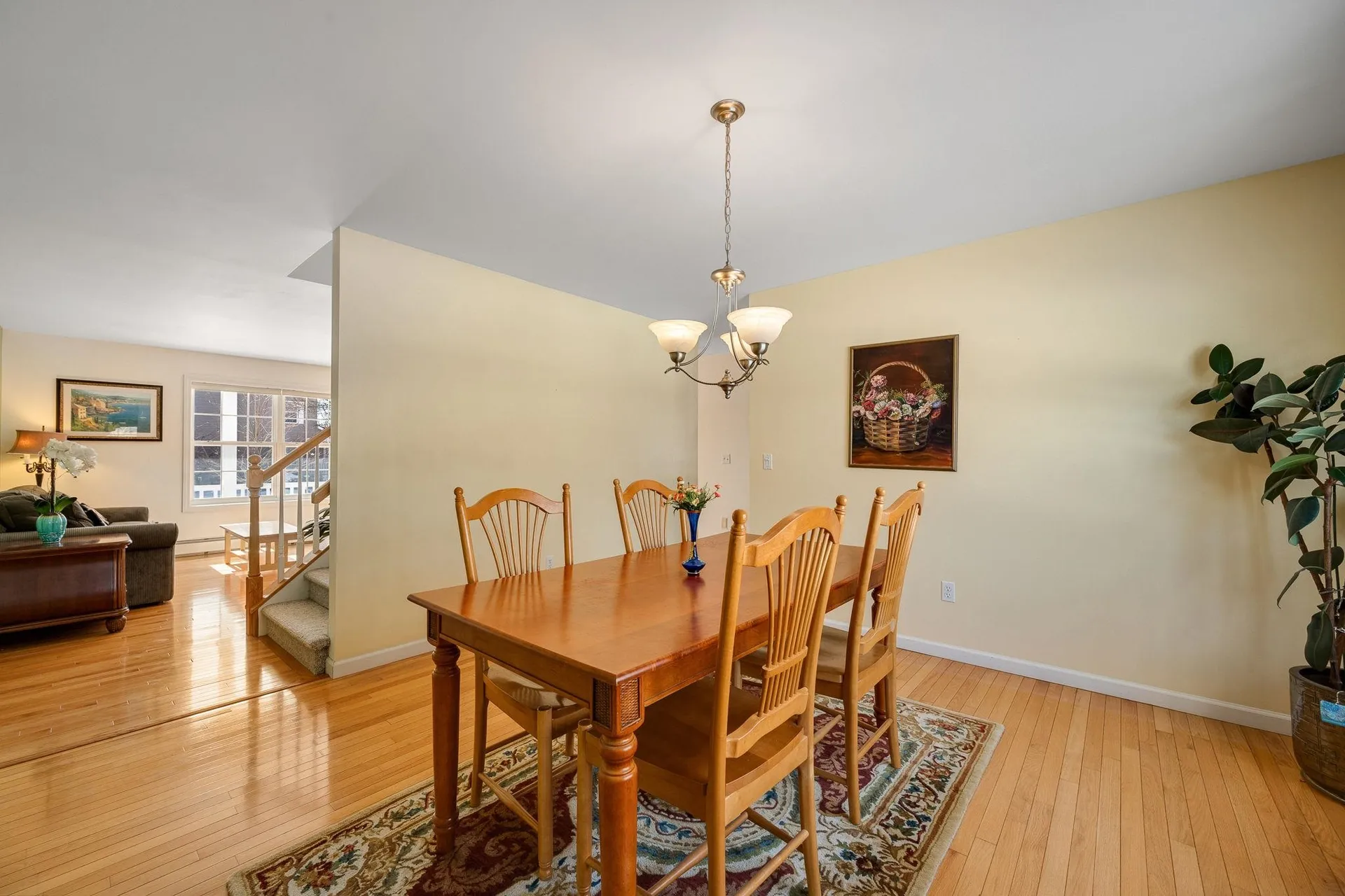 55 Bower Street South Burlington VT 05403