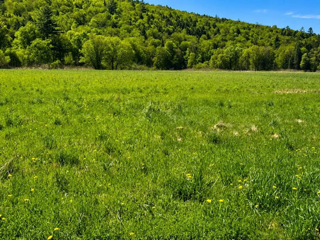 67 Worcester Village Road Worcester VT 05682