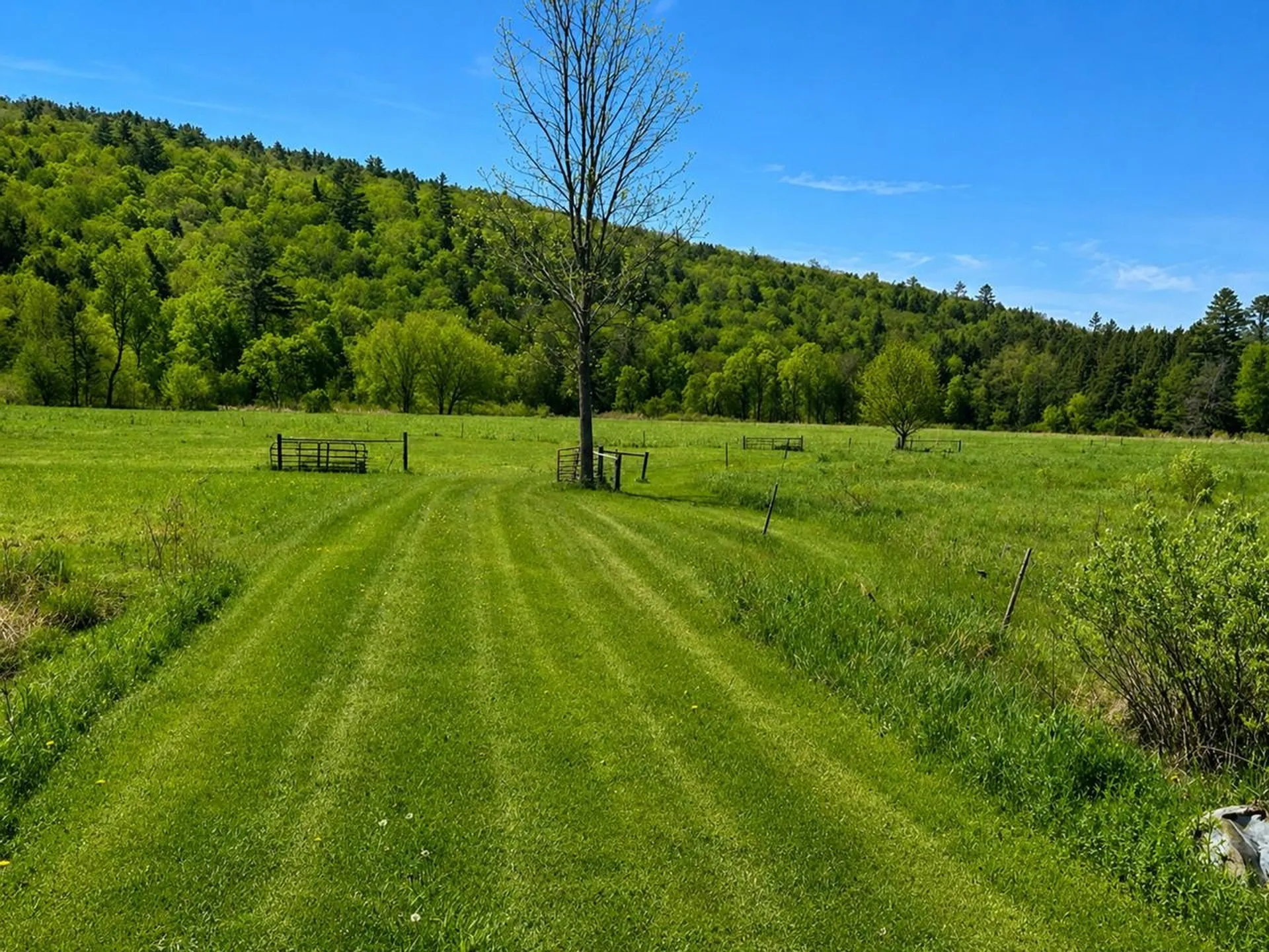 67 Worcester Village Road Worcester VT 05682