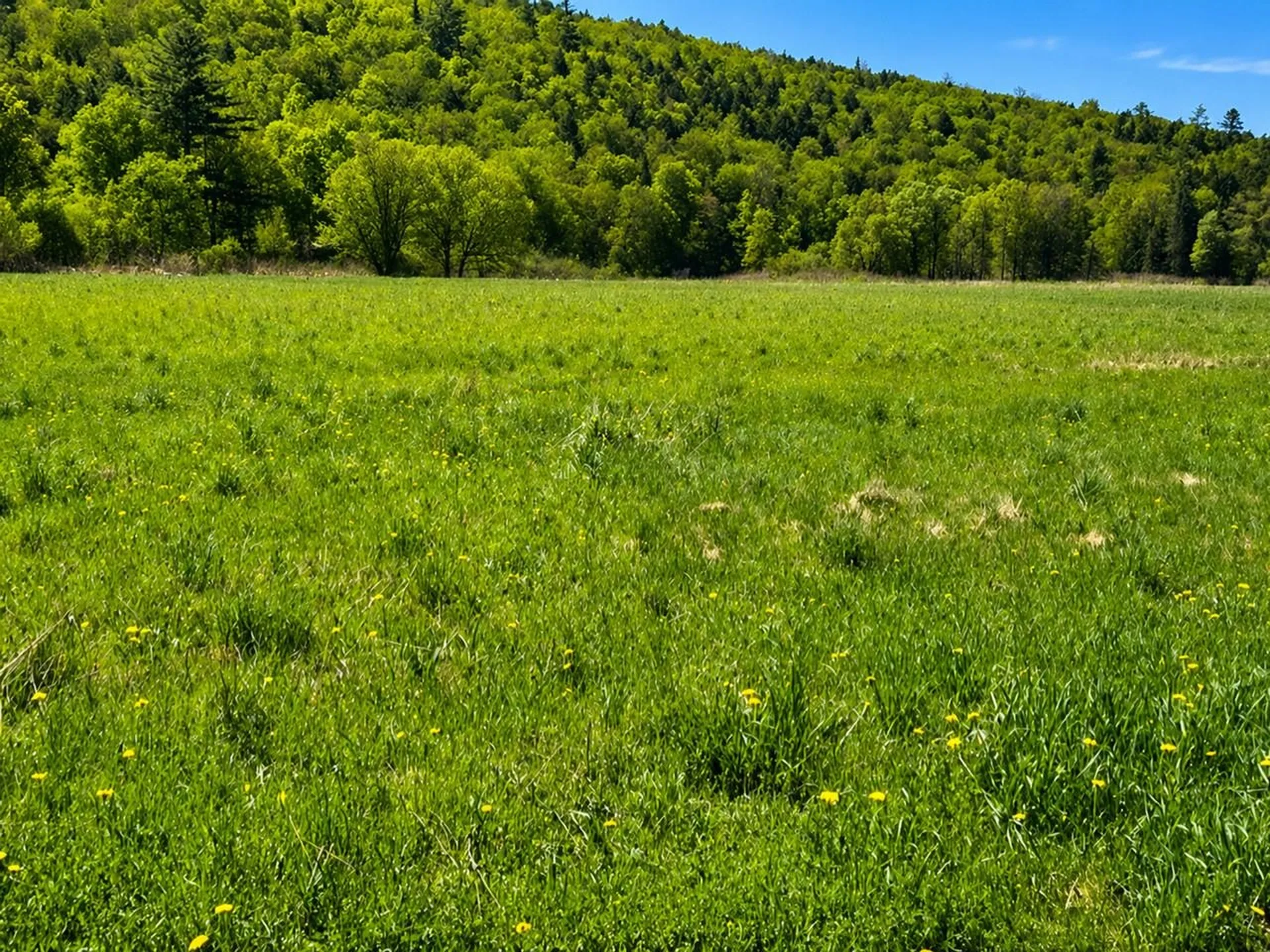 67 Worcester Village Road Worcester VT 05682