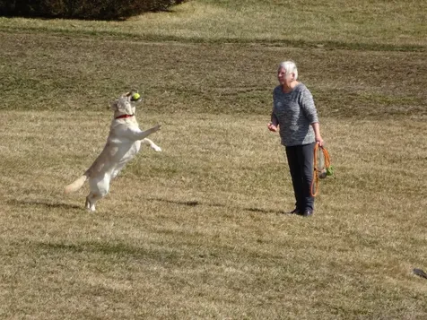 228 Cushing Road Newmarket NH 03857