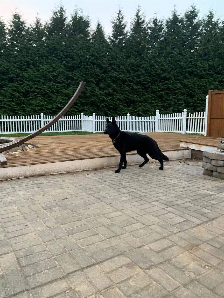 125 Kelsey Road Nottingham NH 03290-0000