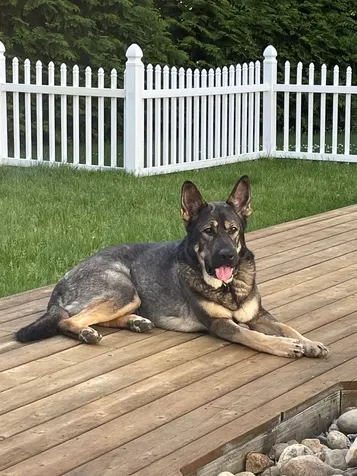 125 Kelsey Road Nottingham NH 03290-0000