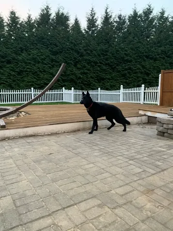 125 Kelsey Road Nottingham NH 03290-0000