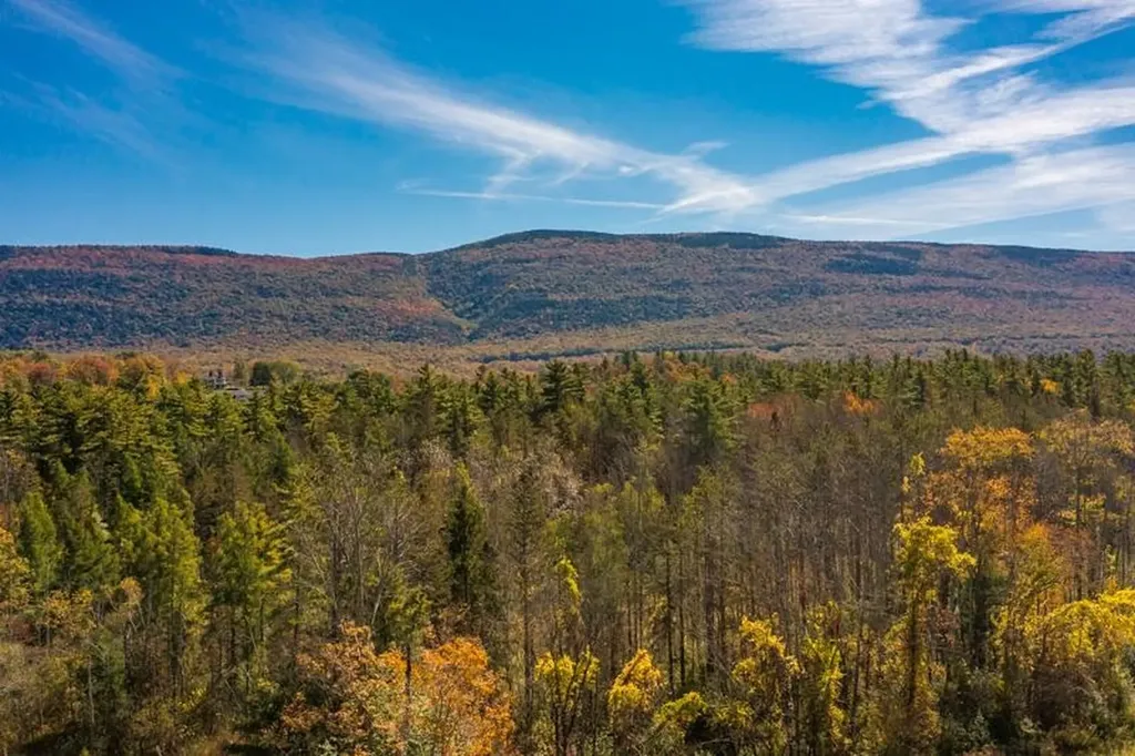 84 Edward Isham Drive Manchester VT 05255