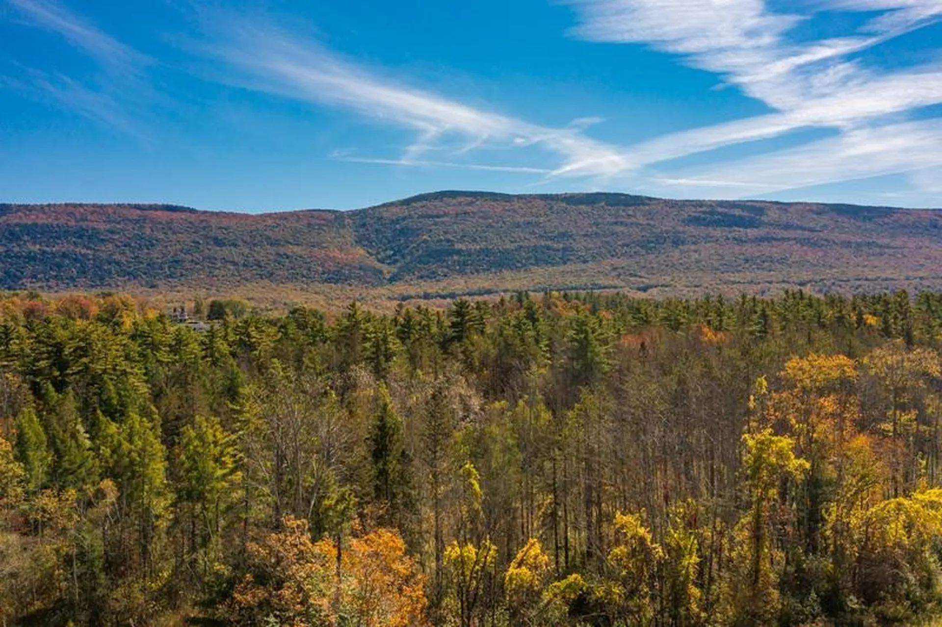 84 Edward Isham Drive Manchester VT 05255