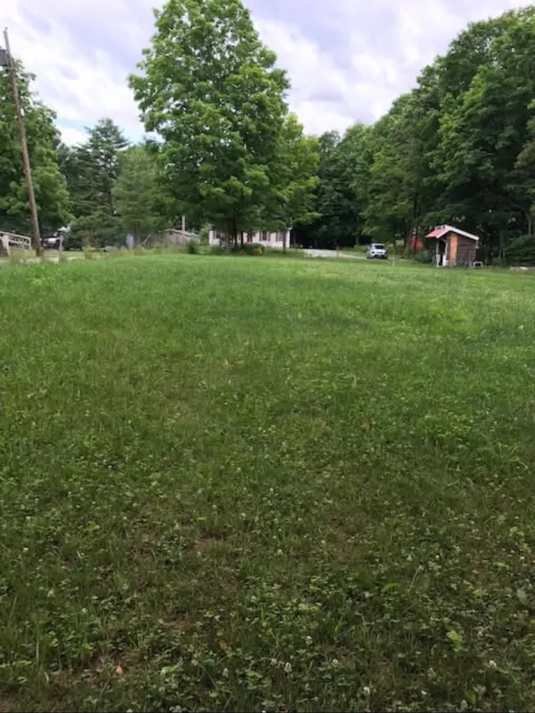 97 School Street Castleton VT 05735