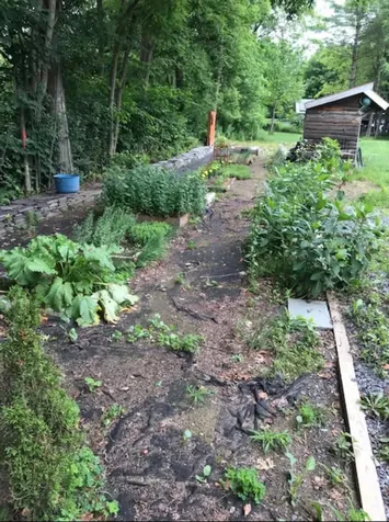 97 School Street Castleton VT 05735