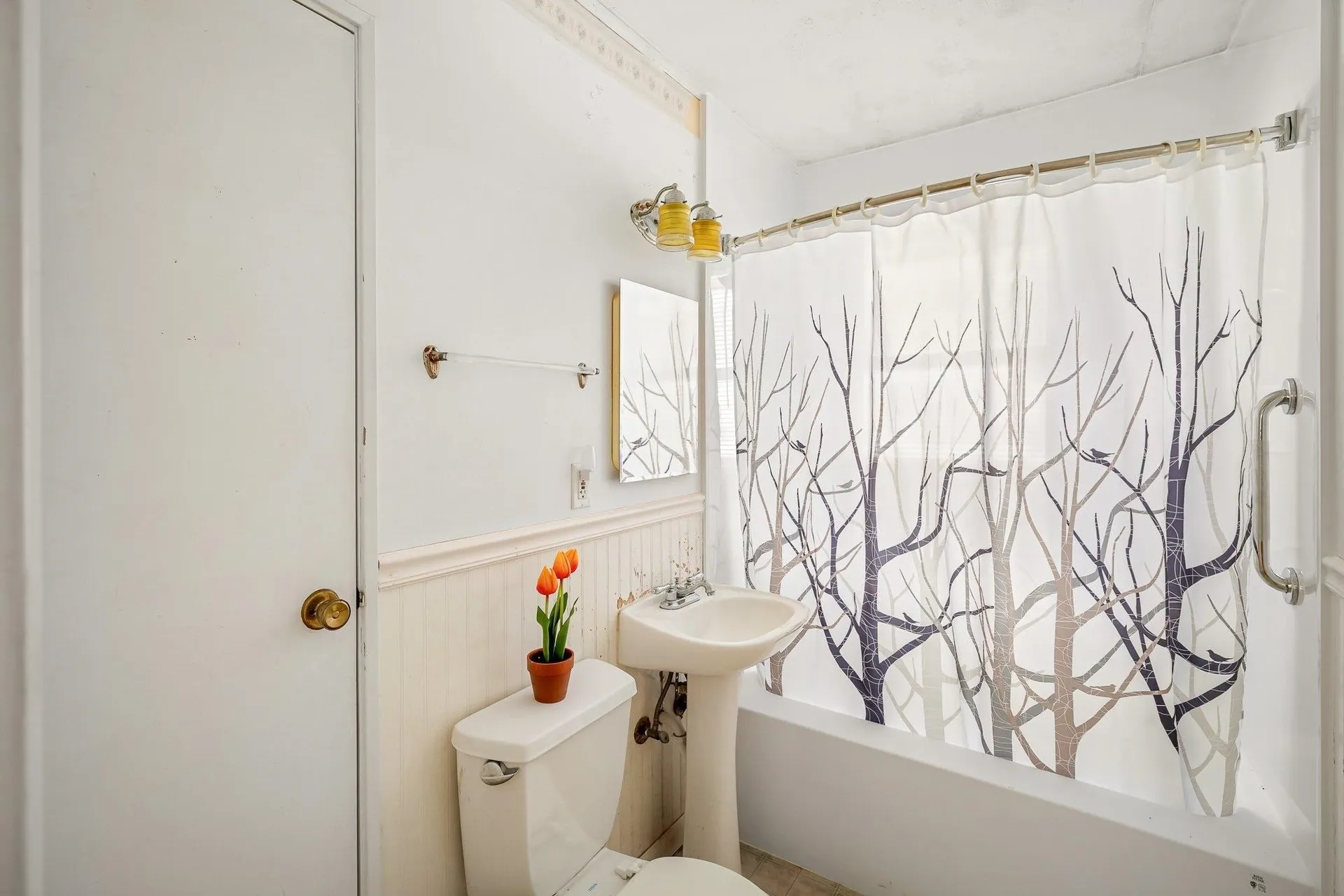 22 Mills Avenue South Burlington VT 05403