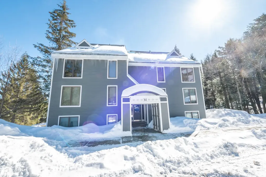 1D Brookside Village Way Dover VT 05356