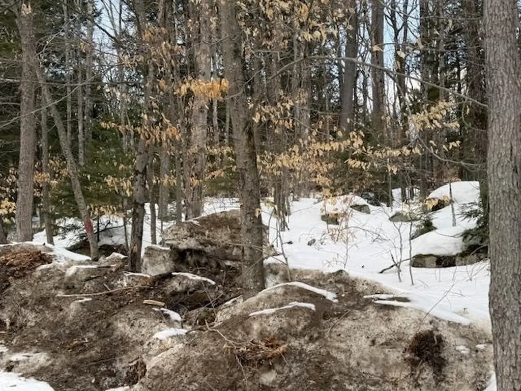 Map 6 Lot 103 Route 16 Albany NH 03818