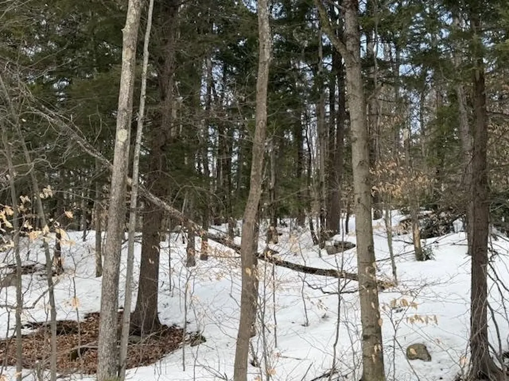 Map 6 Lot 103 Route 16 Albany NH 03818