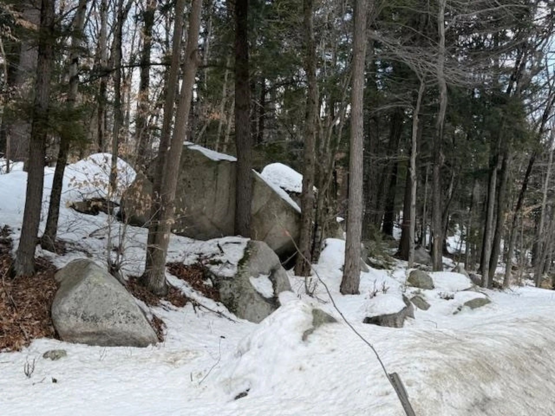 Map 6 Lot 103 Route 16 Albany NH 03818