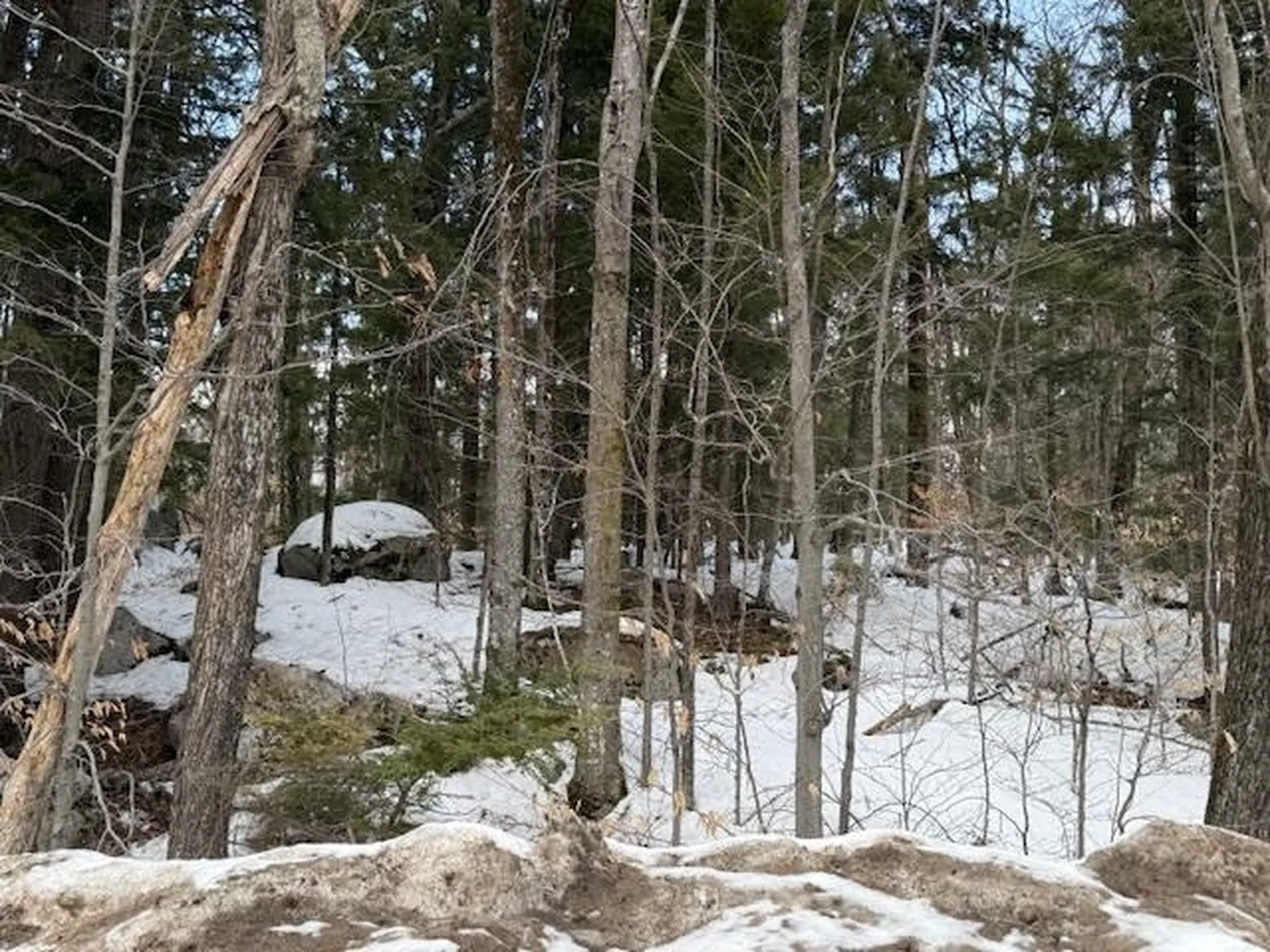 Map 6 Lot 103 Route 16 Albany NH 03818