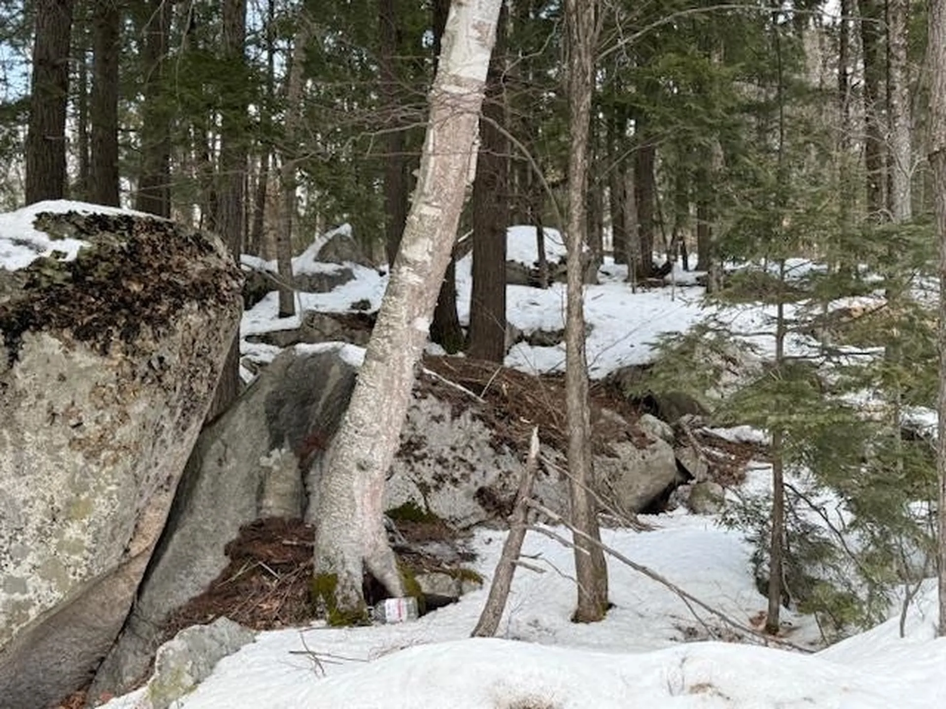 Map 6 Lot 103 Route 16 Albany NH 03818