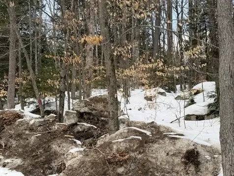 Map 6 Lot 103 Route 16 Albany NH 03818