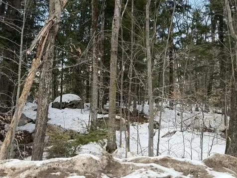 Map 6 Lot 103 Route 16 Albany NH 03818