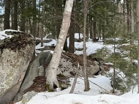 Map 6 Lot 103 Route 16 Albany NH 03818