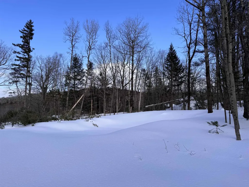 169 Sun And Ski Road Wilmington VT 05363