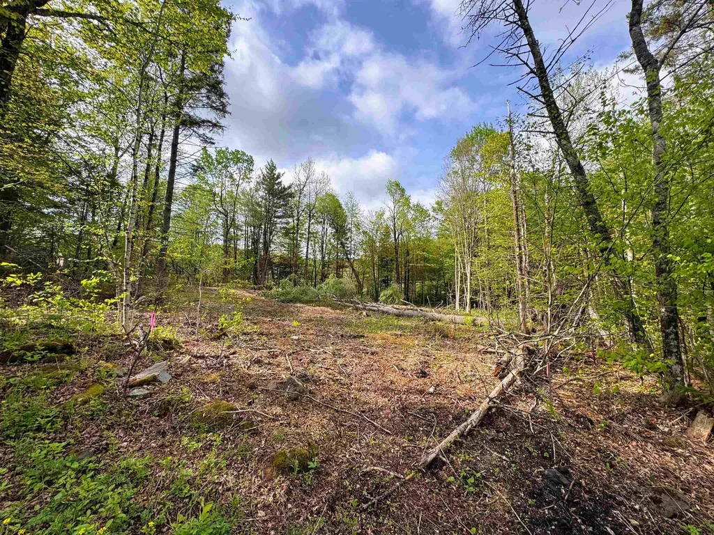 169 Sun And Ski Road Wilmington VT 05363