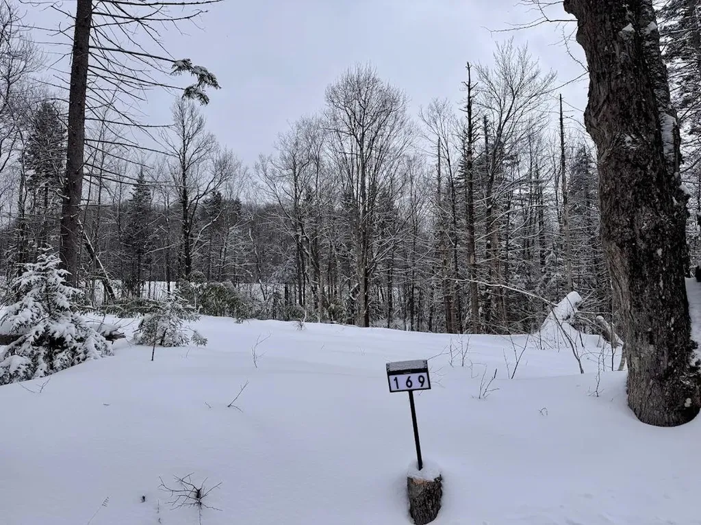 169 Sun And Ski Road Wilmington VT 05363