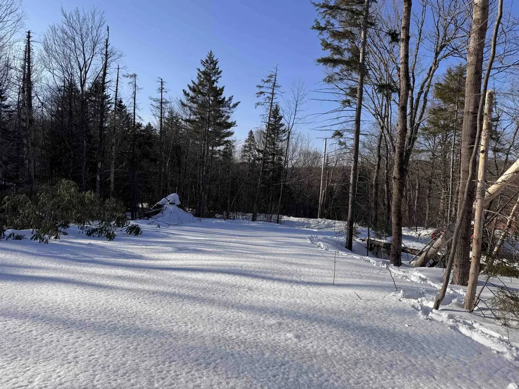 169 Sun And Ski Road Wilmington VT 05363