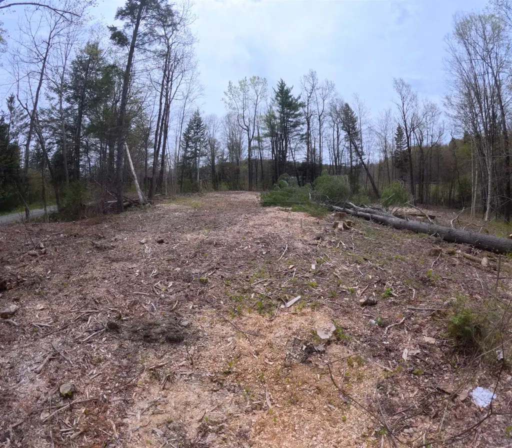 169 Sun And Ski Road Wilmington VT 05363