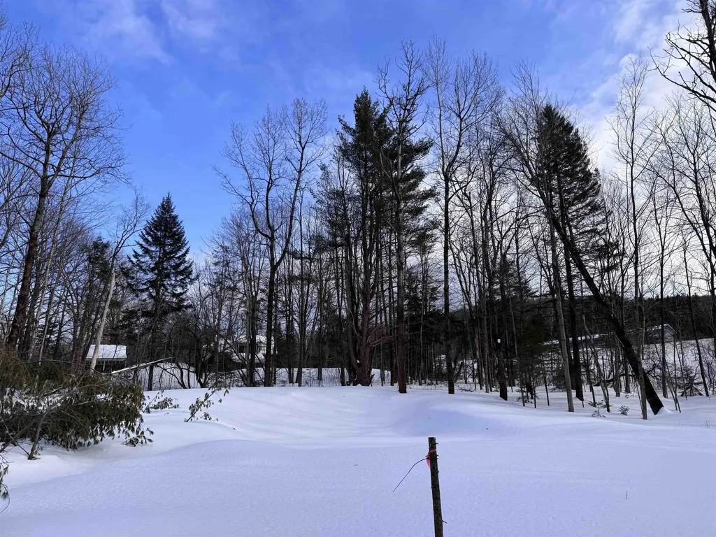 169 Sun And Ski Road Wilmington VT 05363