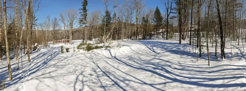 169 Sun And Ski Road Wilmington VT 05363