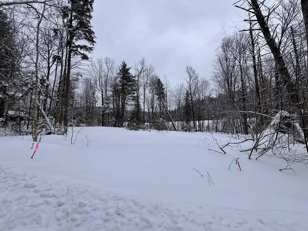 169 Sun And Ski Road Wilmington VT 05363