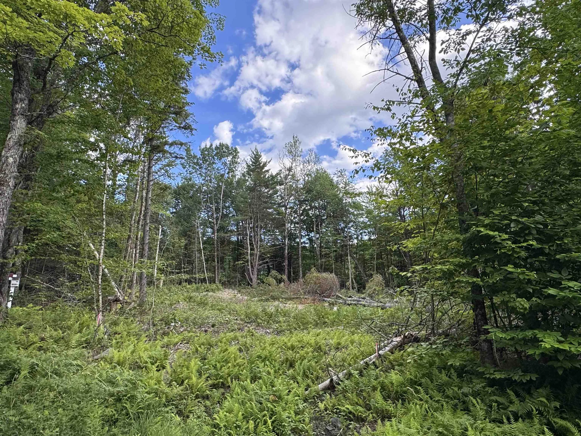 169 Sun And Ski Road Wilmington VT 05363