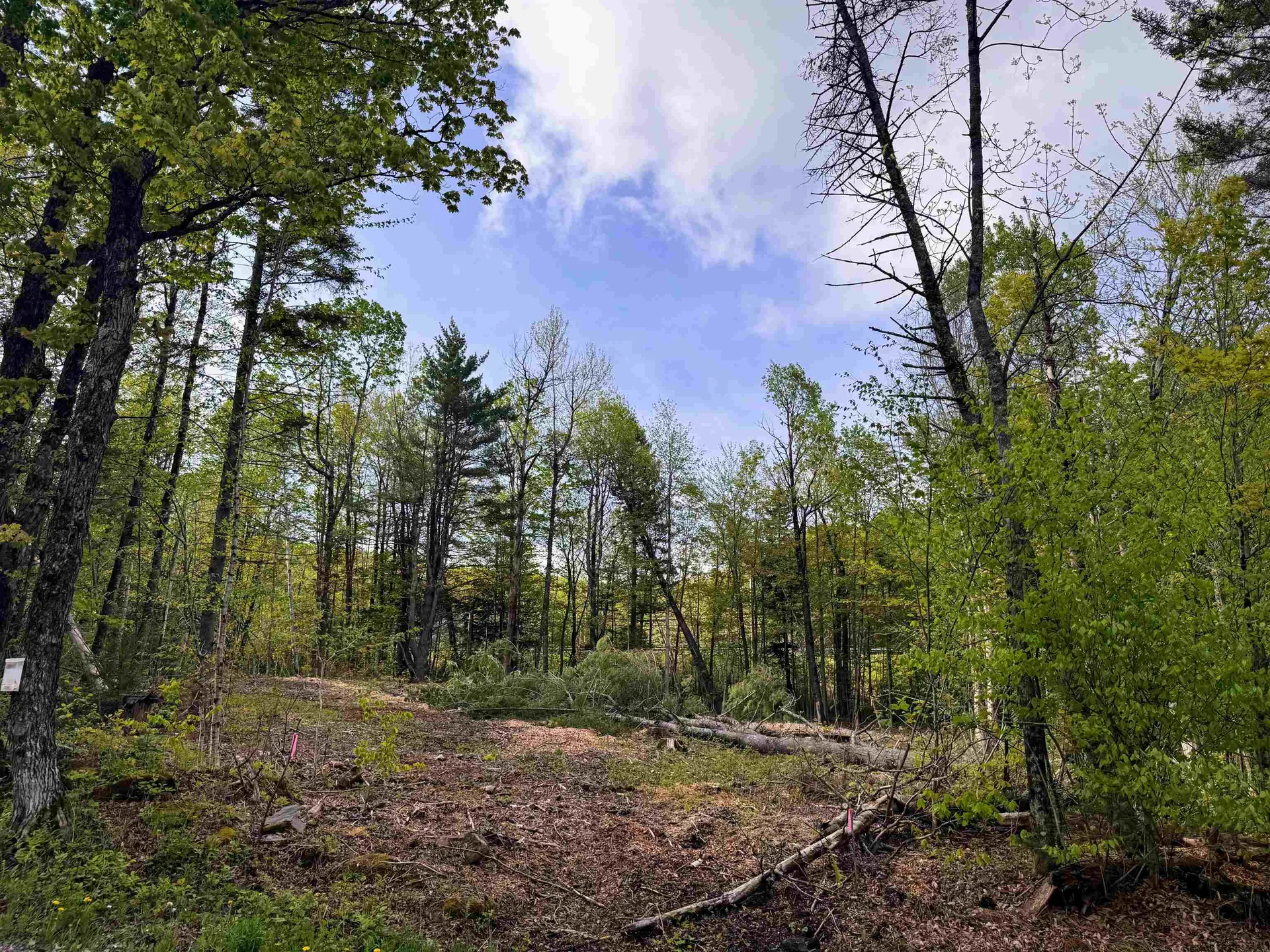 169 Sun And Ski Road Wilmington VT 05363
