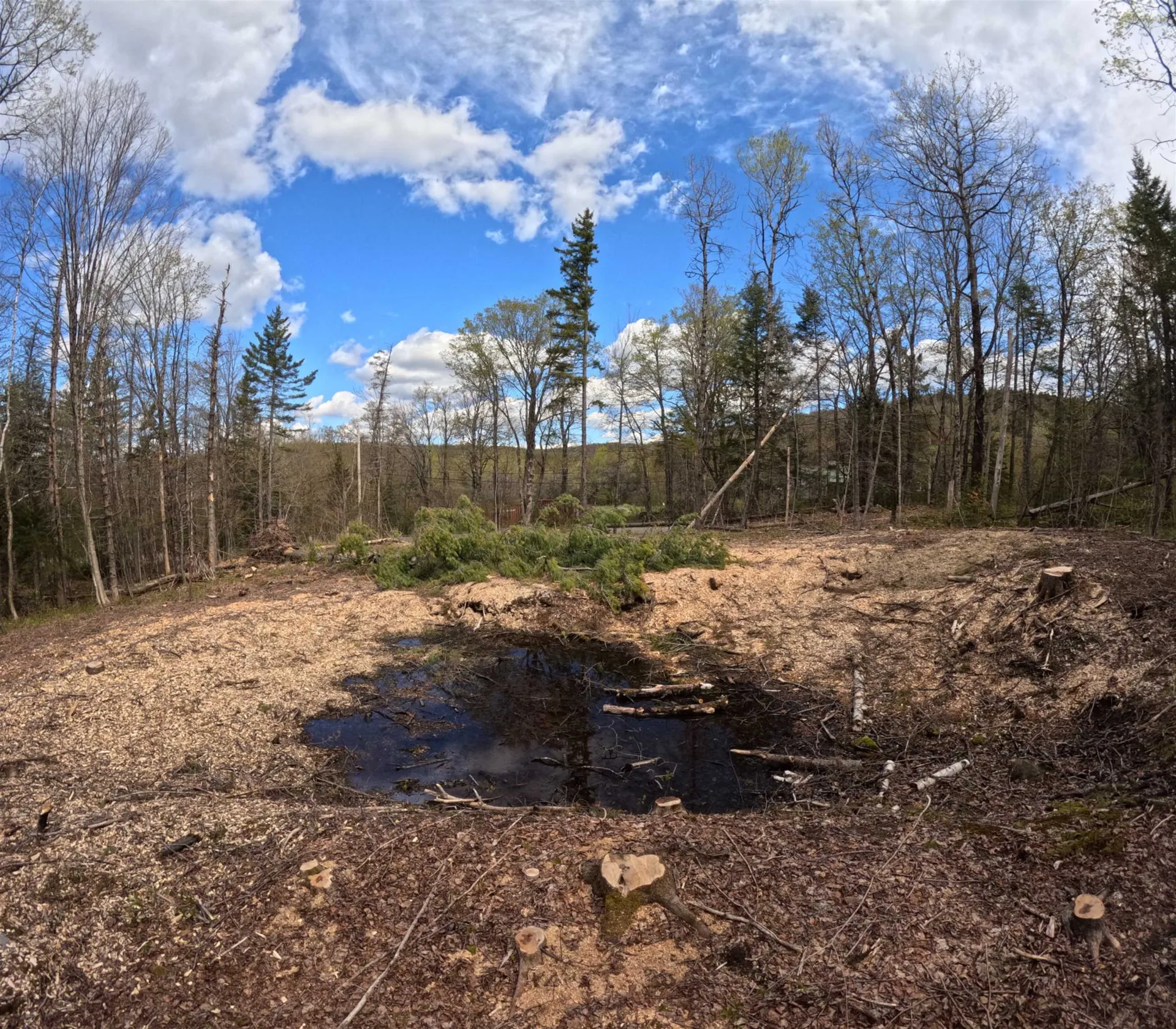 169 Sun And Ski Road Wilmington VT 05363