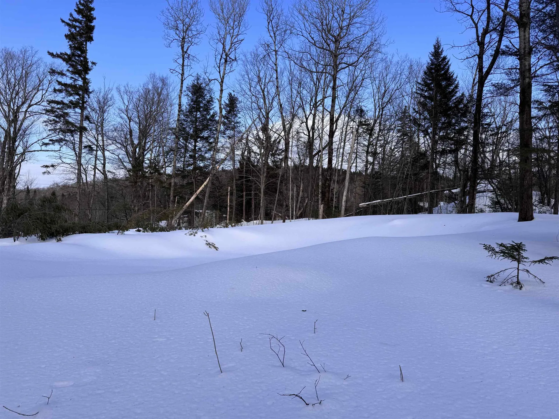 169 Sun And Ski Road Wilmington VT 05363