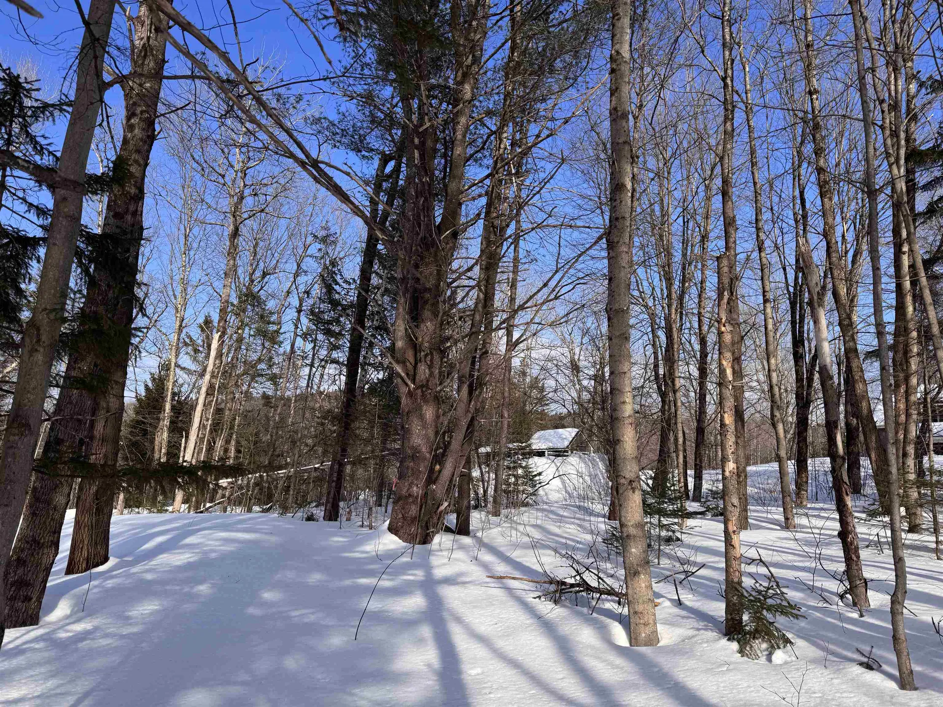 169 Sun And Ski Road Wilmington VT 05363