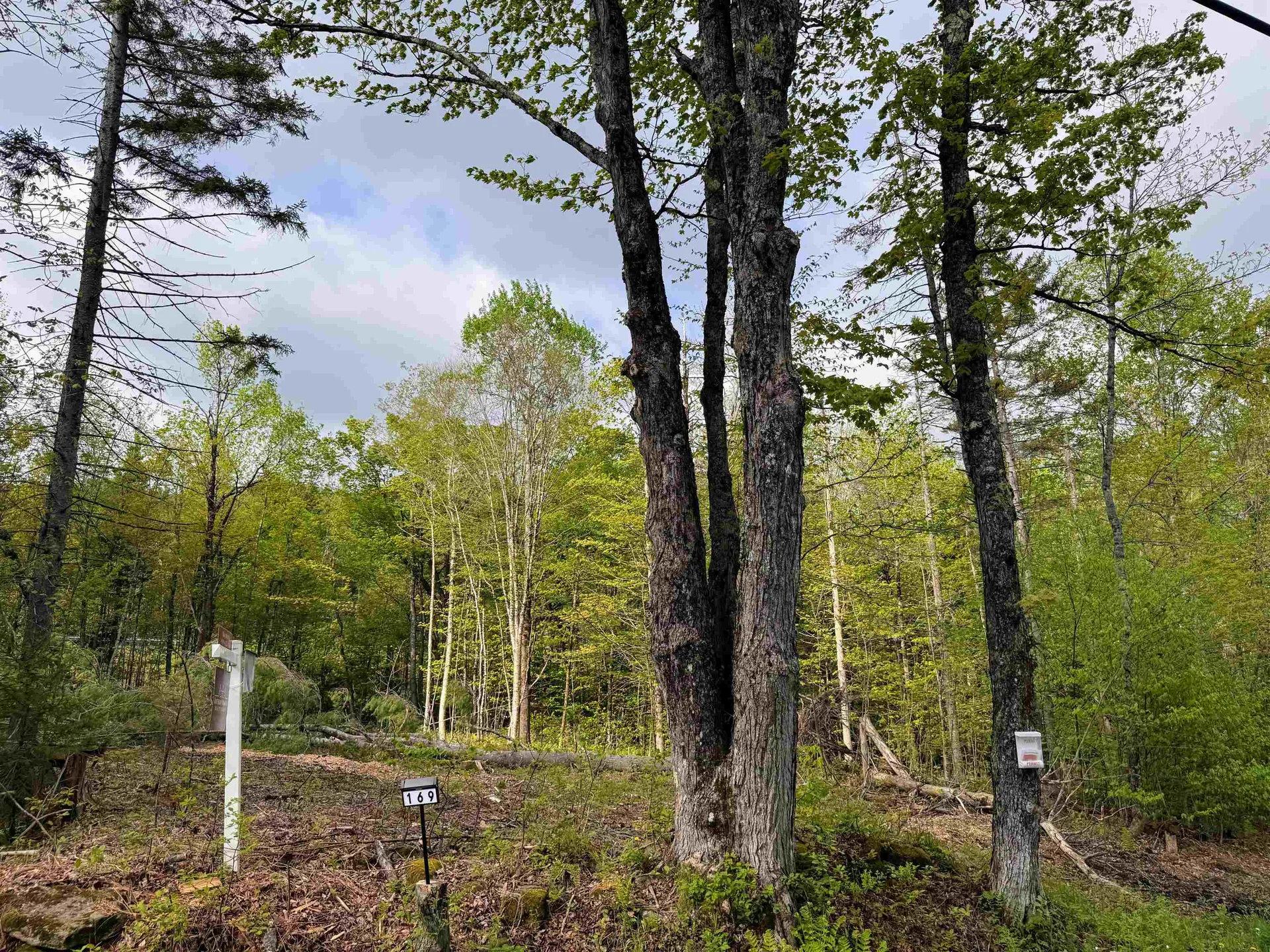 169 Sun And Ski Road Wilmington VT 05363