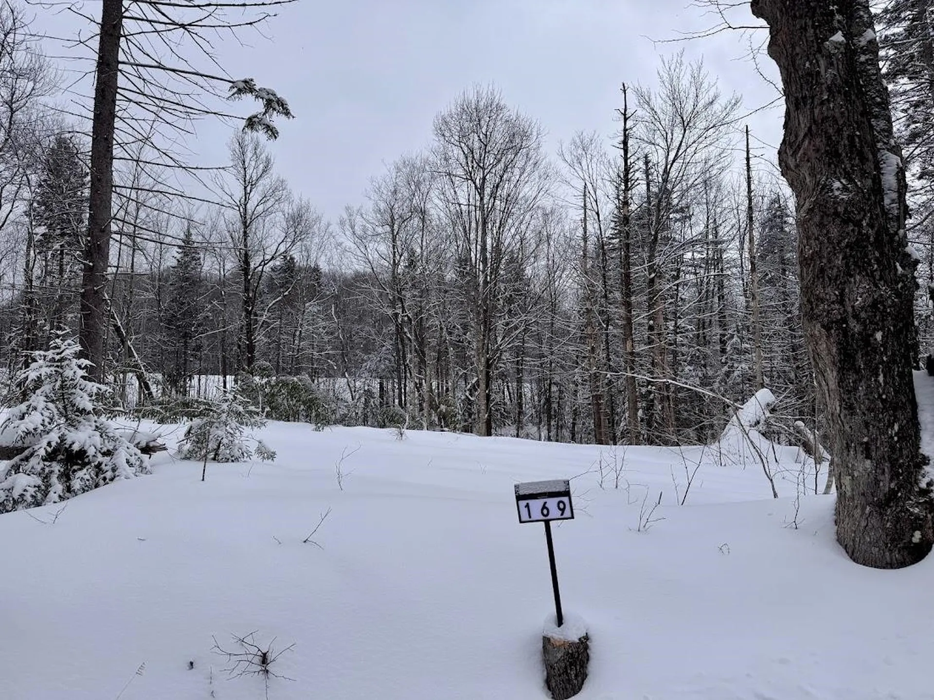 169 Sun And Ski Road Wilmington VT 05363