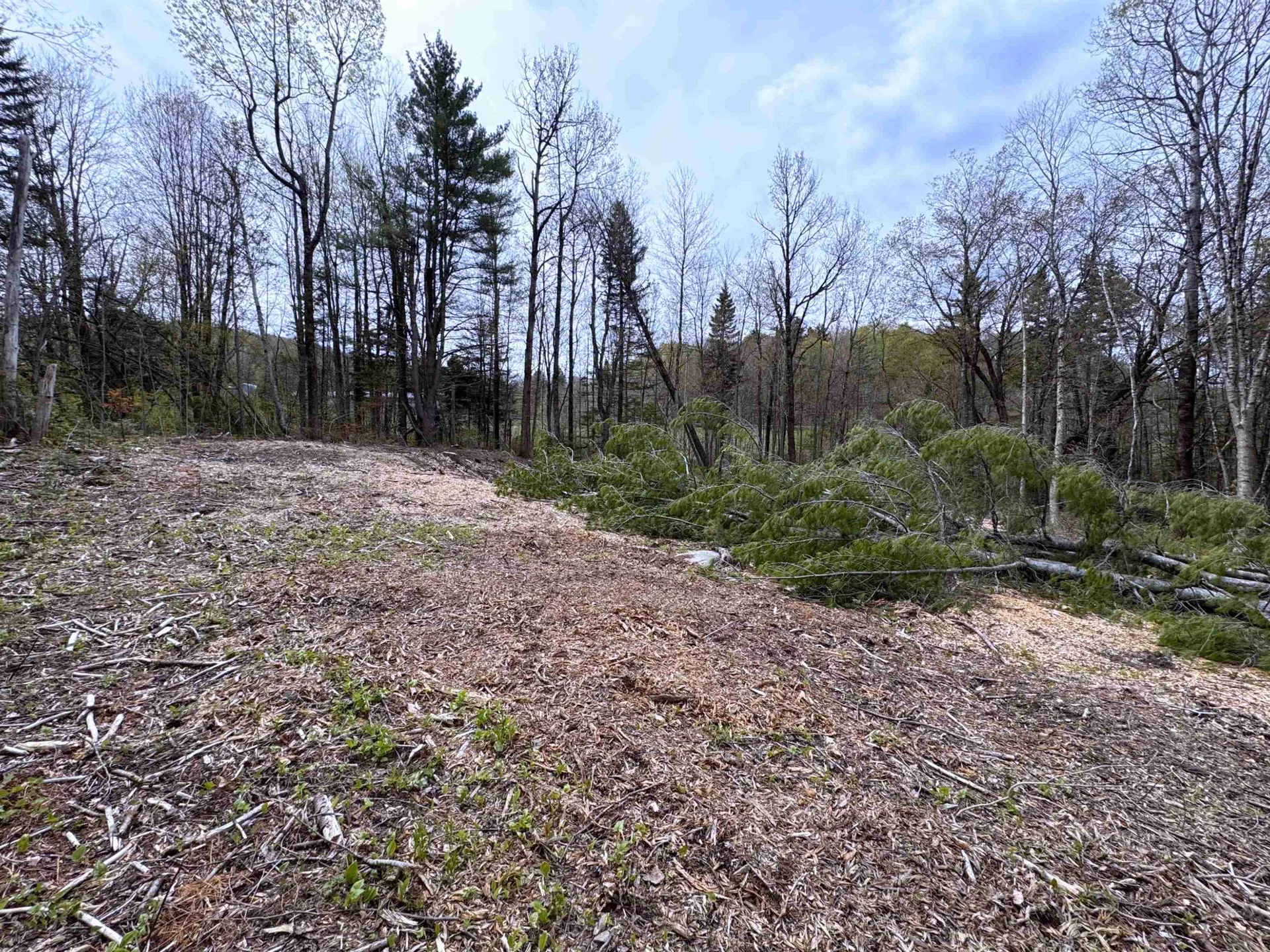169 Sun And Ski Road Wilmington VT 05363