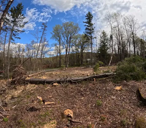 169 Sun And Ski Road Wilmington VT 05363