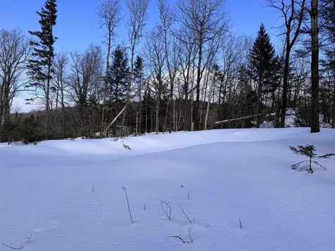 169 Sun And Ski Road Wilmington VT 05363