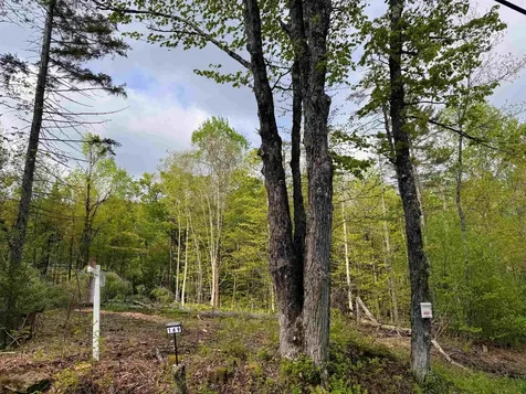169 Sun And Ski Road Wilmington VT 05363
