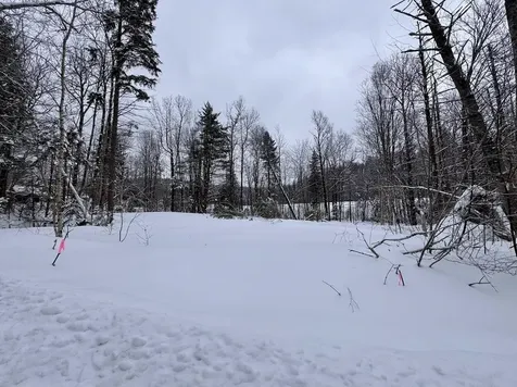 169 Sun And Ski Road Wilmington VT 05363