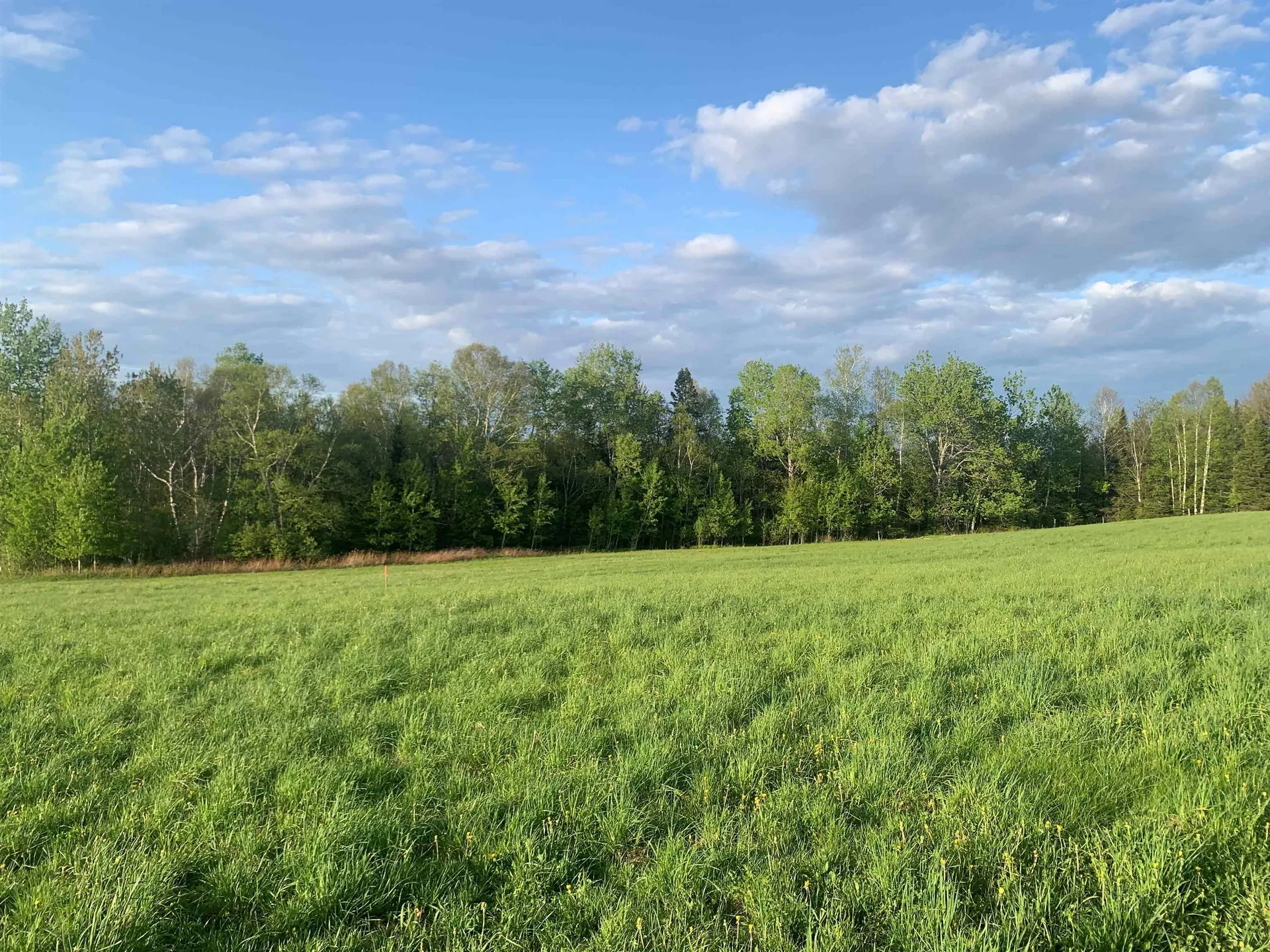Lot 4 Titus Hill Road Colebrook NH 03576